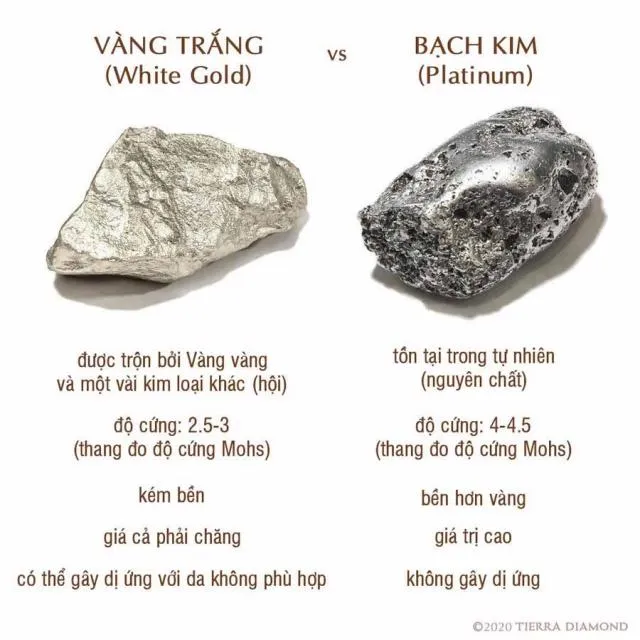 So Sánh Platinum và Vàng Trắng